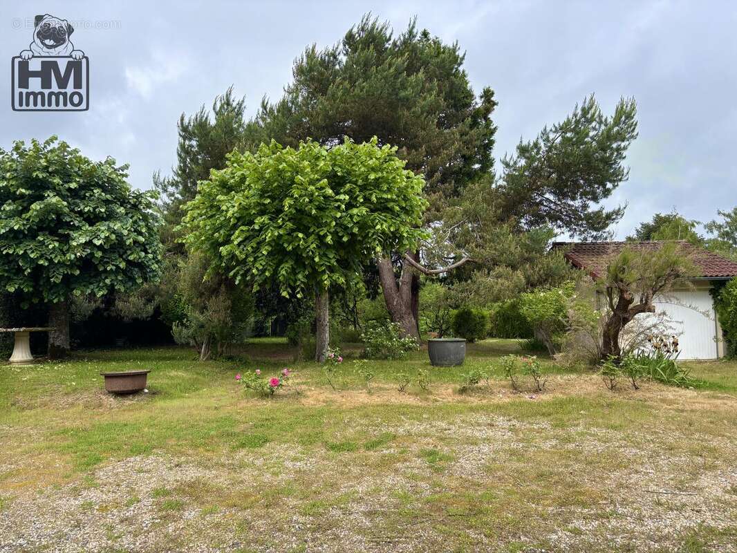 n°1 - Maison à COGNAC-LA-FORET