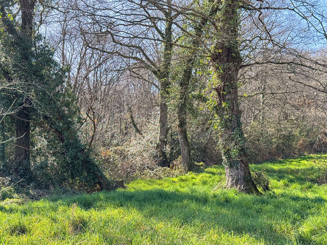 Maison à BENTAYOU-SEREE