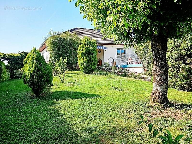 Maison à VILLERSEXEL
