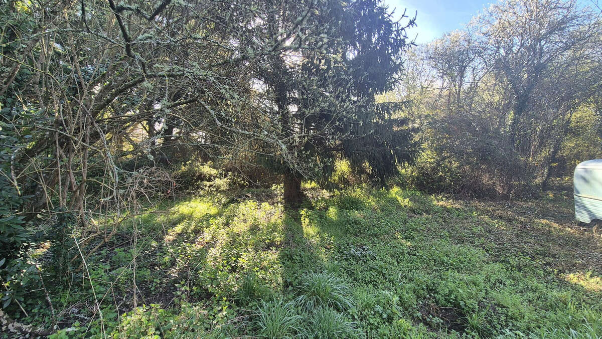 Maison 85 m² à Bussiere-Poitevine  - photo 8