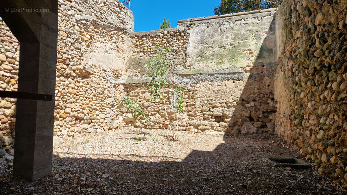 Maison à SAINT-ANDRE-DE-SANGONIS