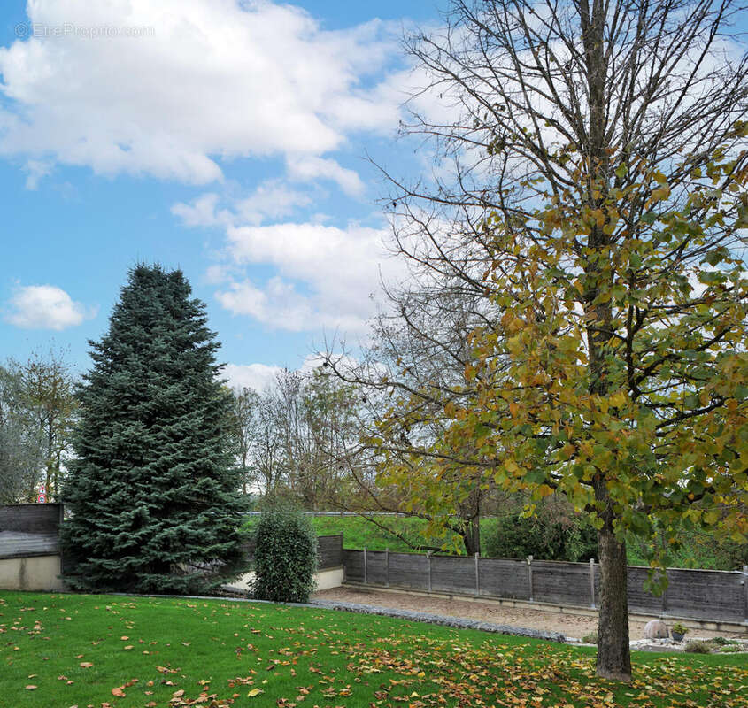 Photo 5 - Maison à DIEMOZ