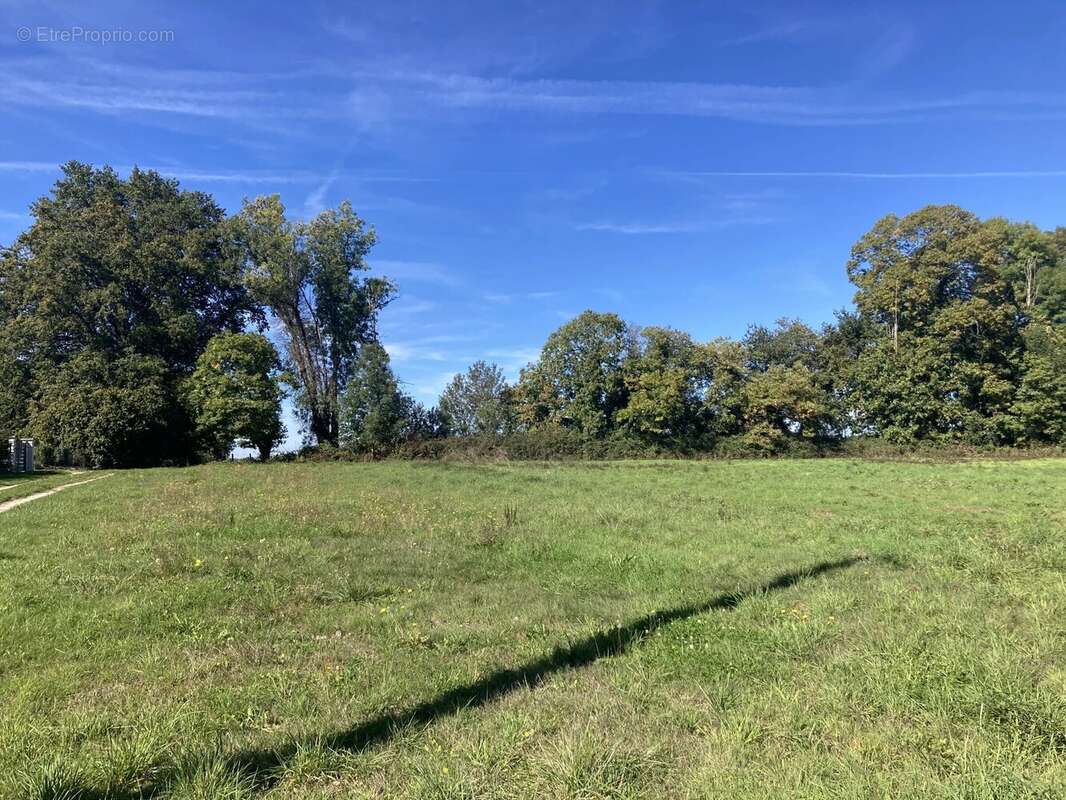 Terrain à LA COQUILLE