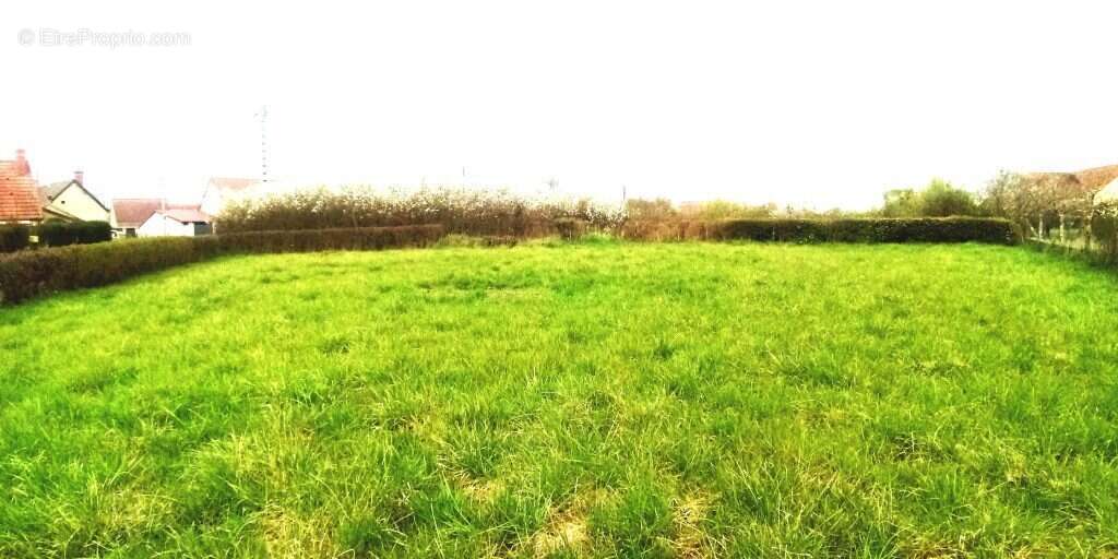 Terrain à SAINT-PIERRE-LE-MOUTIER