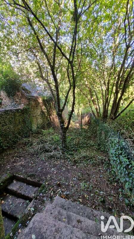 Photo 4 - Maison à SAINT-BERTHEVIN-LA-TANNIERE