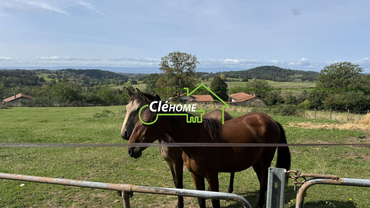 Maison à SAINT-CLEMENT-LES-PLACES