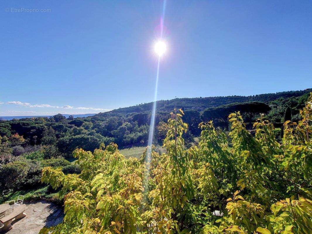 Maison à LE LAVANDOU