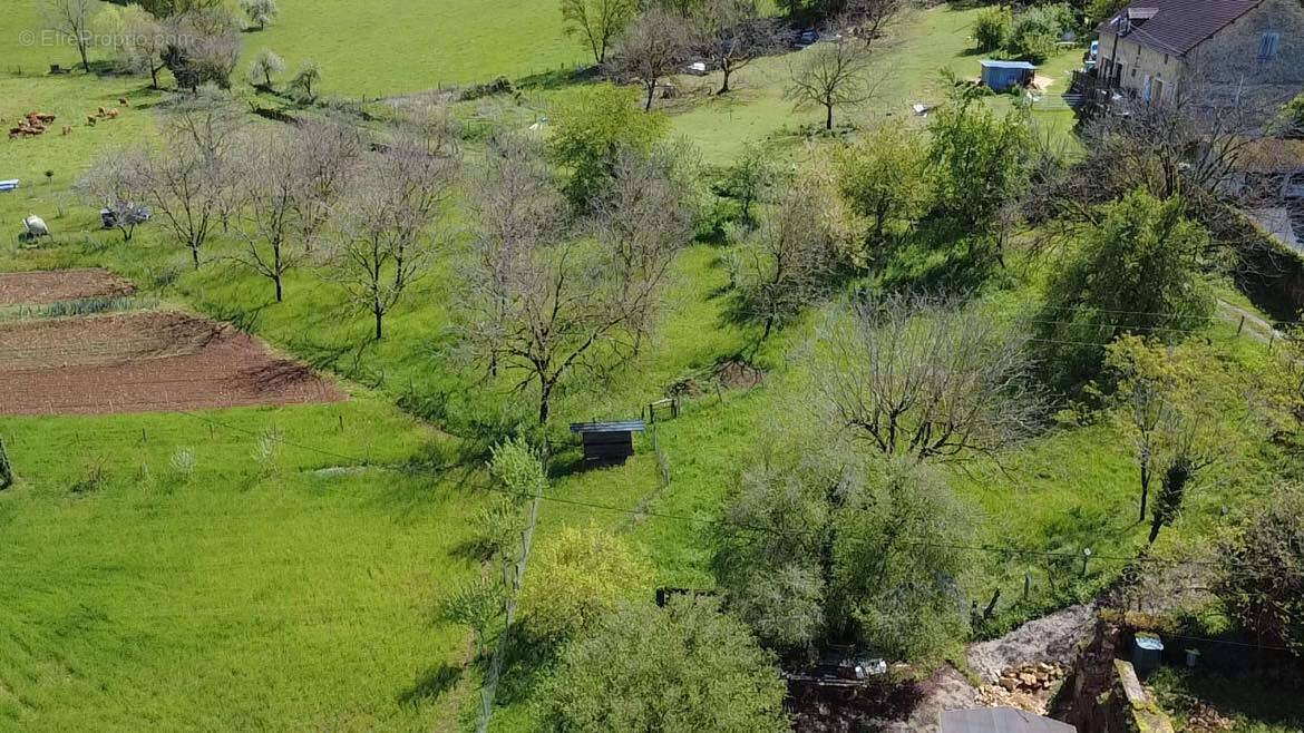 Maison à TERRASSON-LAVILLEDIEU