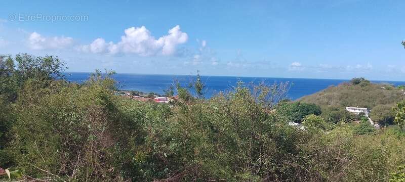 Baillif. Terrain 1095 m2 avec vue mer exceptionnelle - photo 3