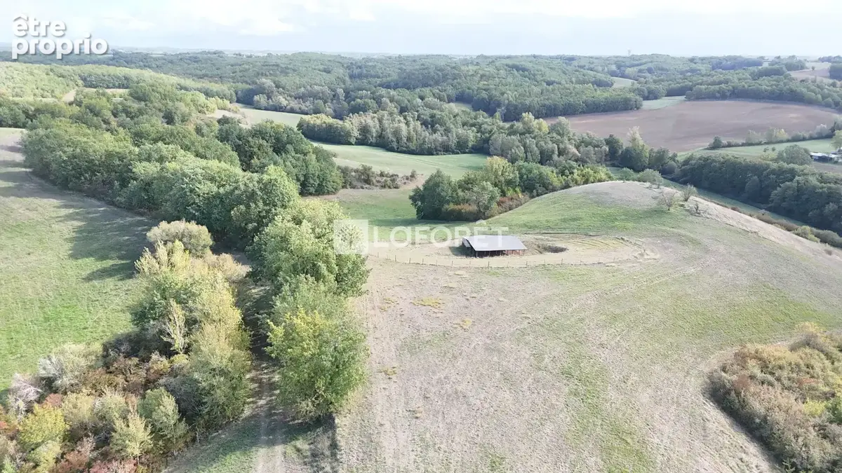 Propriété de 116 hectares !!!  20 minutes Est de Montauban - photo 1