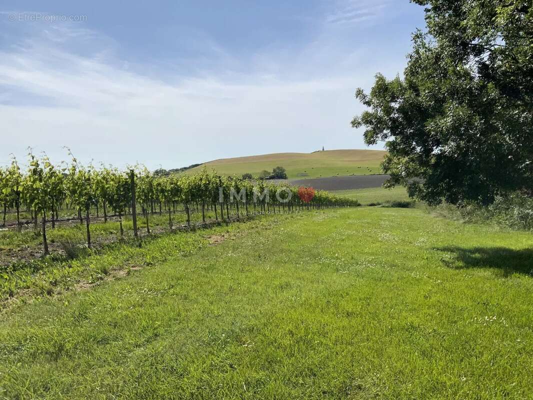 Maison à SAINT-FORT-SUR-GIRONDE