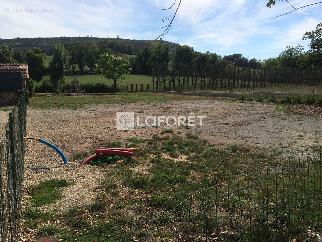 Nuces commune de VALADY - photo 3