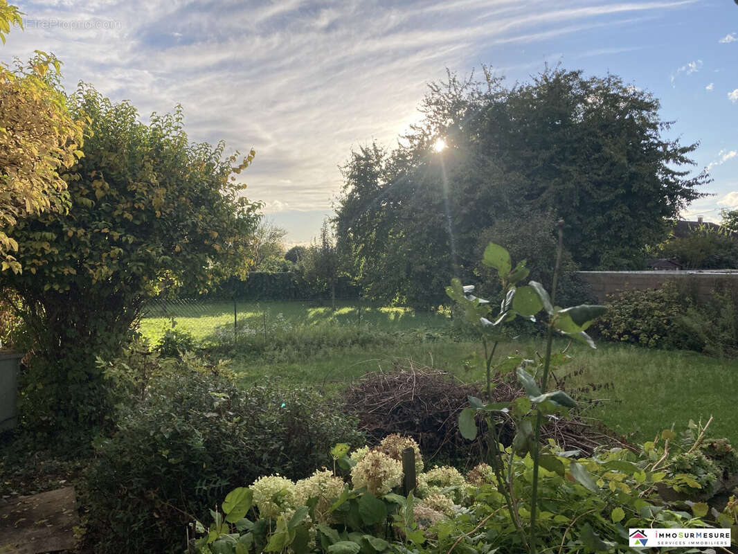 Maison à MATZENHEIM