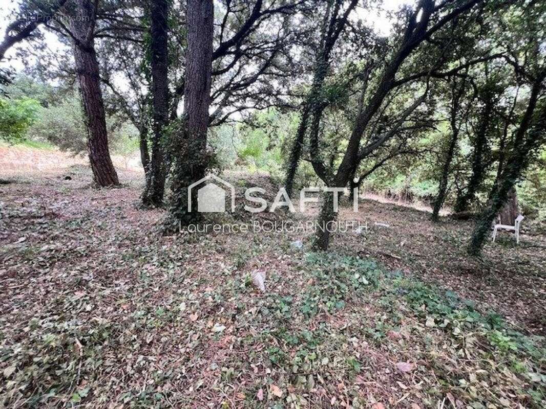 Photo 6 - Terrain à BAGNOLS-SUR-CEZE