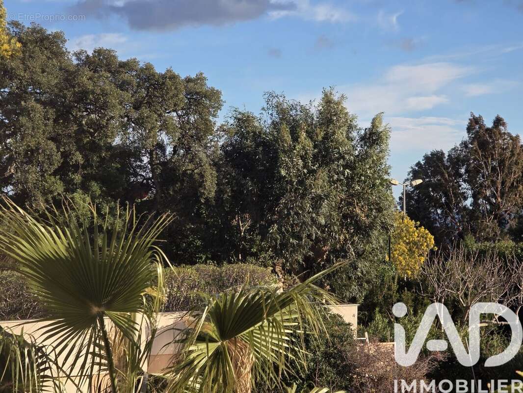 Photo 3 - Appartement à LE LAVANDOU