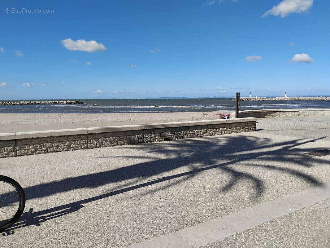 Commerce à LE GRAU-DU-ROI