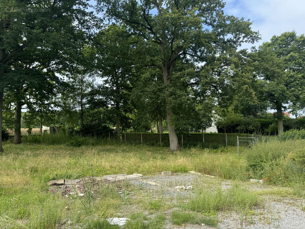 Maison à VILLERS-COTTERETS