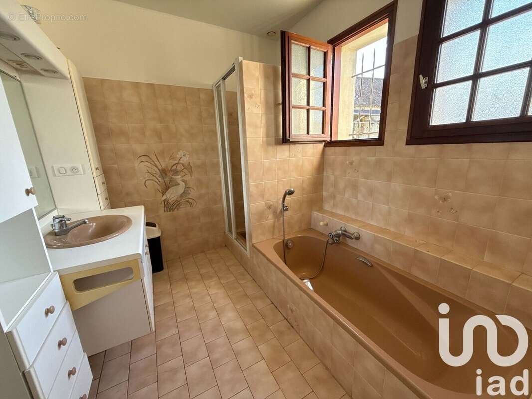 Photo 9 - Maison à LA LOUPTIERE-THENARD