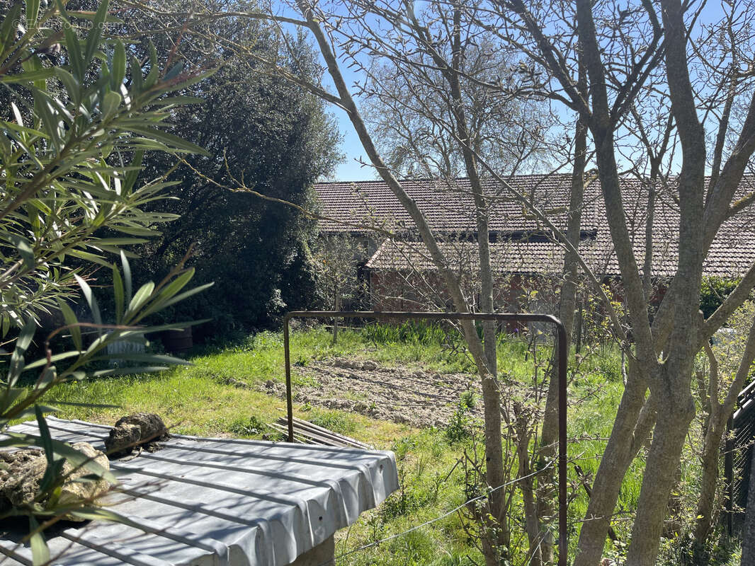 Terrain à AVIGNONET-LAURAGAIS