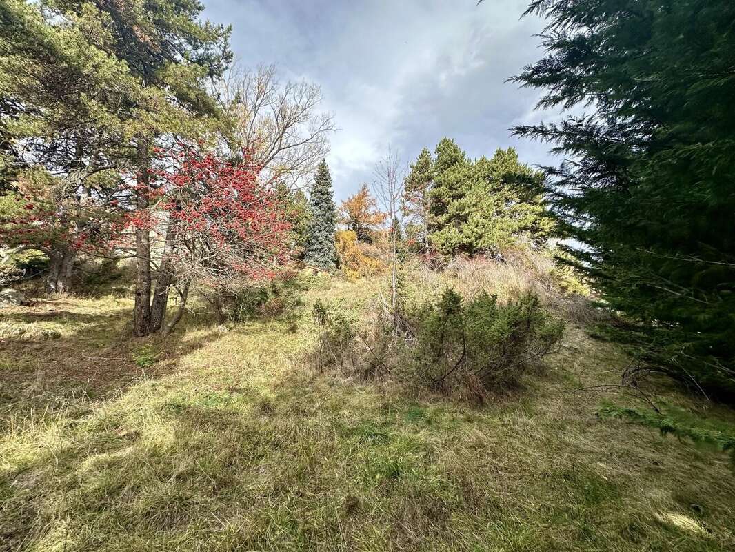 Terrain à FONT-ROMEU-ODEILLO-VIA