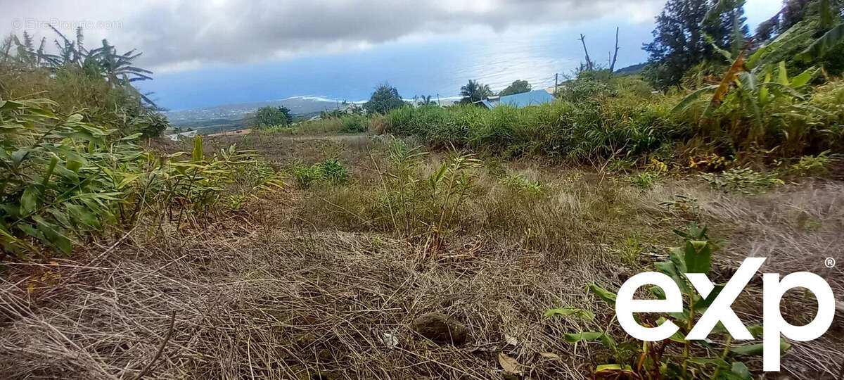 Terrain à SAINT-LEU