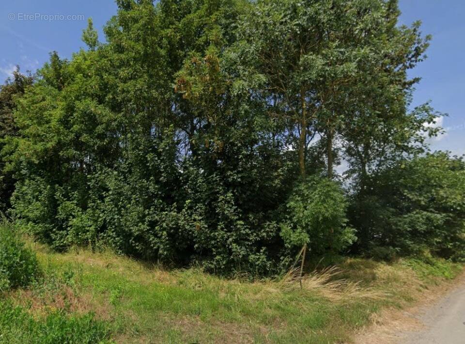 Terrain à RUMILLY-EN-CAMBRESIS