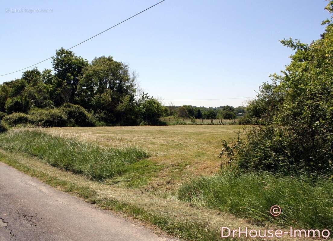 Terrain à ARCHIGNY