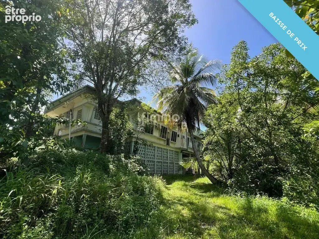 Terrain de 1.2 hectares avec villa 395 m2 et dépendance - photo 3