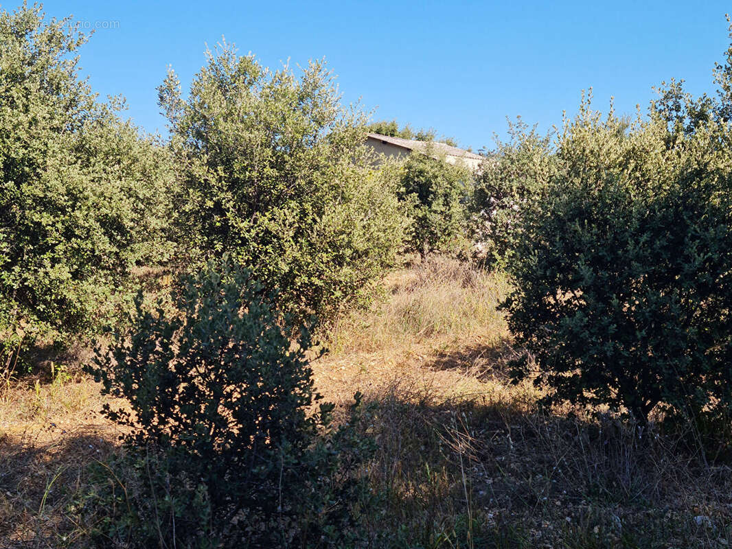 Terrain à VILLES-SUR-AUZON