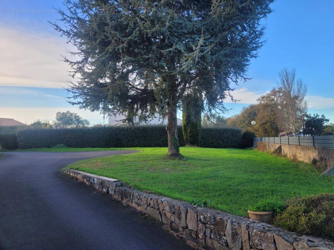 Terrain à LES SABLES-D&#039;OLONNE