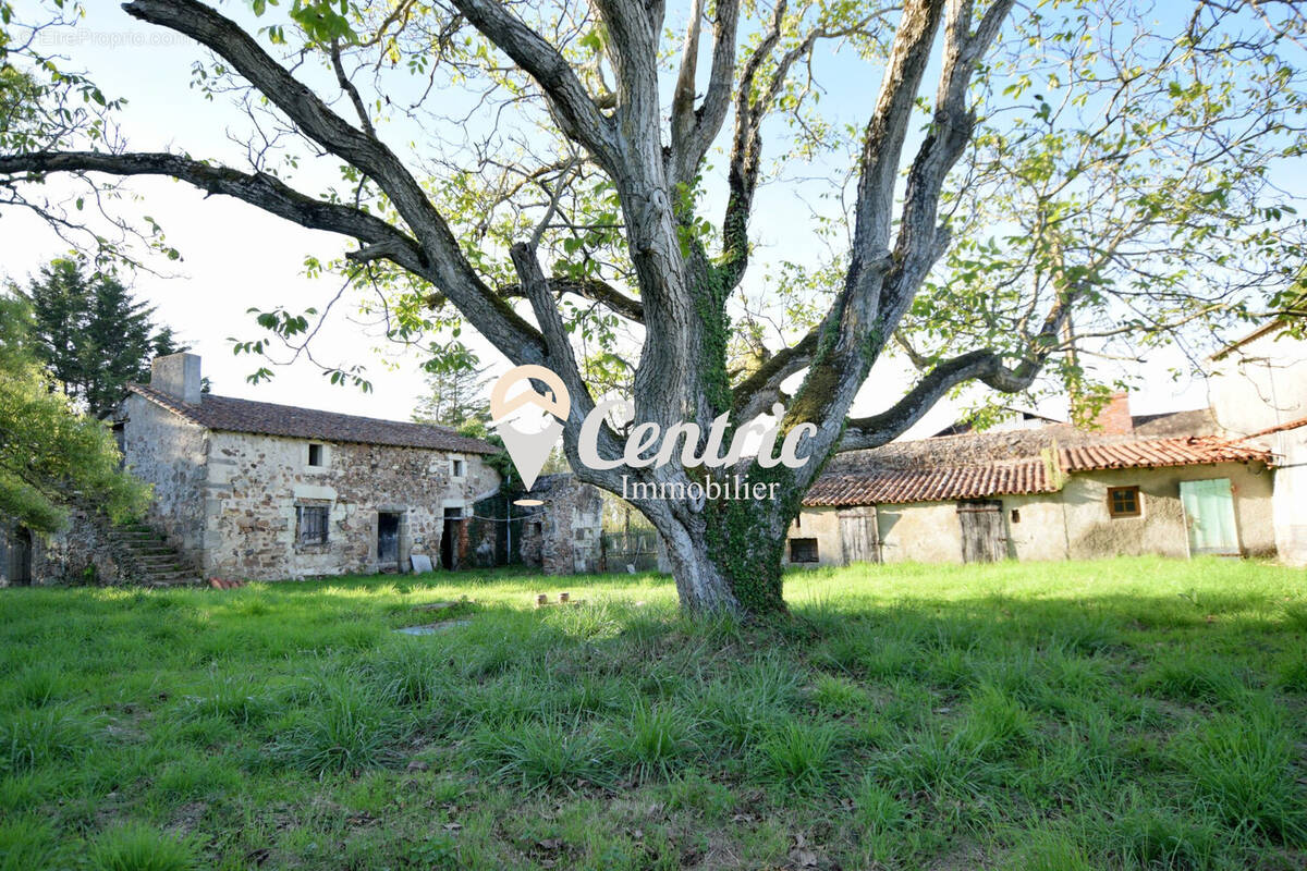 Maison à ARGENTON-CHATEAU