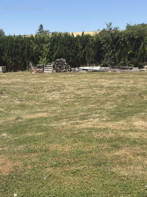 Laubressel  terrain constructible de 987 m2 - photo 5