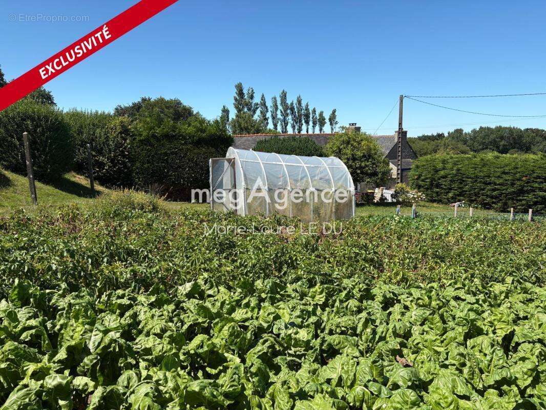 Maison de campagne en pierre 1/4 d'heure de la mer - photo 5
