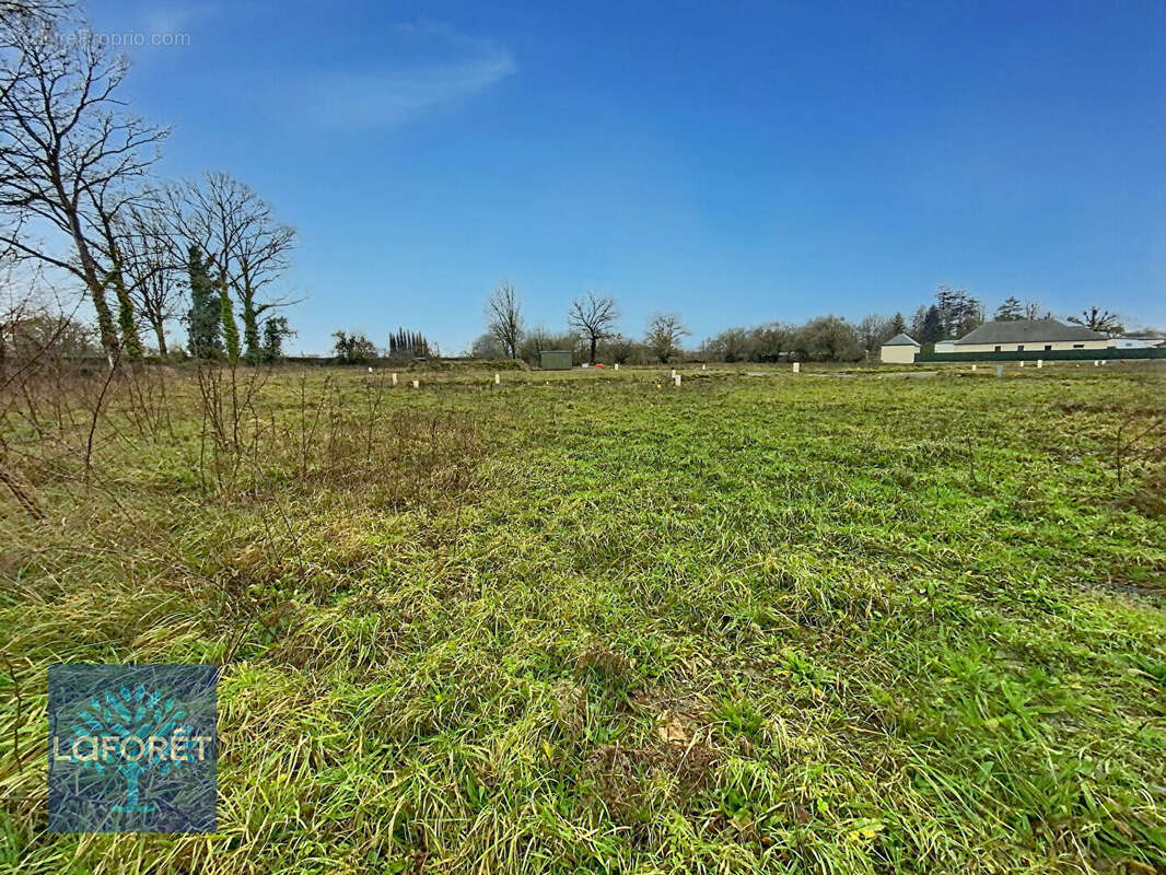 Terrain à SAINT-OUEN-DES-ALLEUX