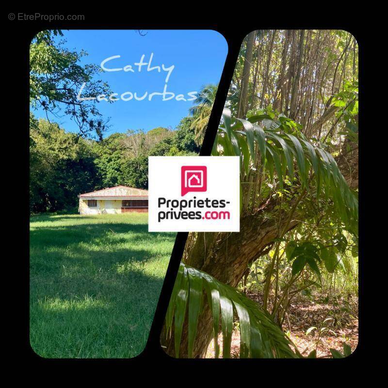 Terrain à POINTE-NOIRE