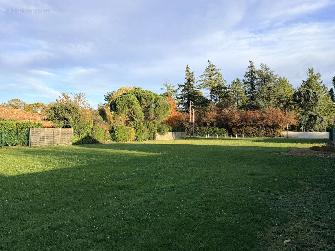 Terrain à BUXEROLLES