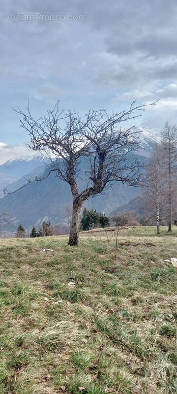 Parcelle de Terrain de 656m2 sur les hauteurs de la commune de JARRIER. - photo 6