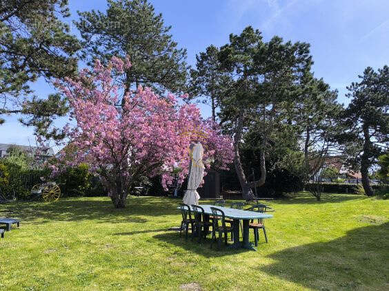 Superbe Maison de Maître d'architecture 'Ile-de-France' sur la côte d'Opale! - photo 6