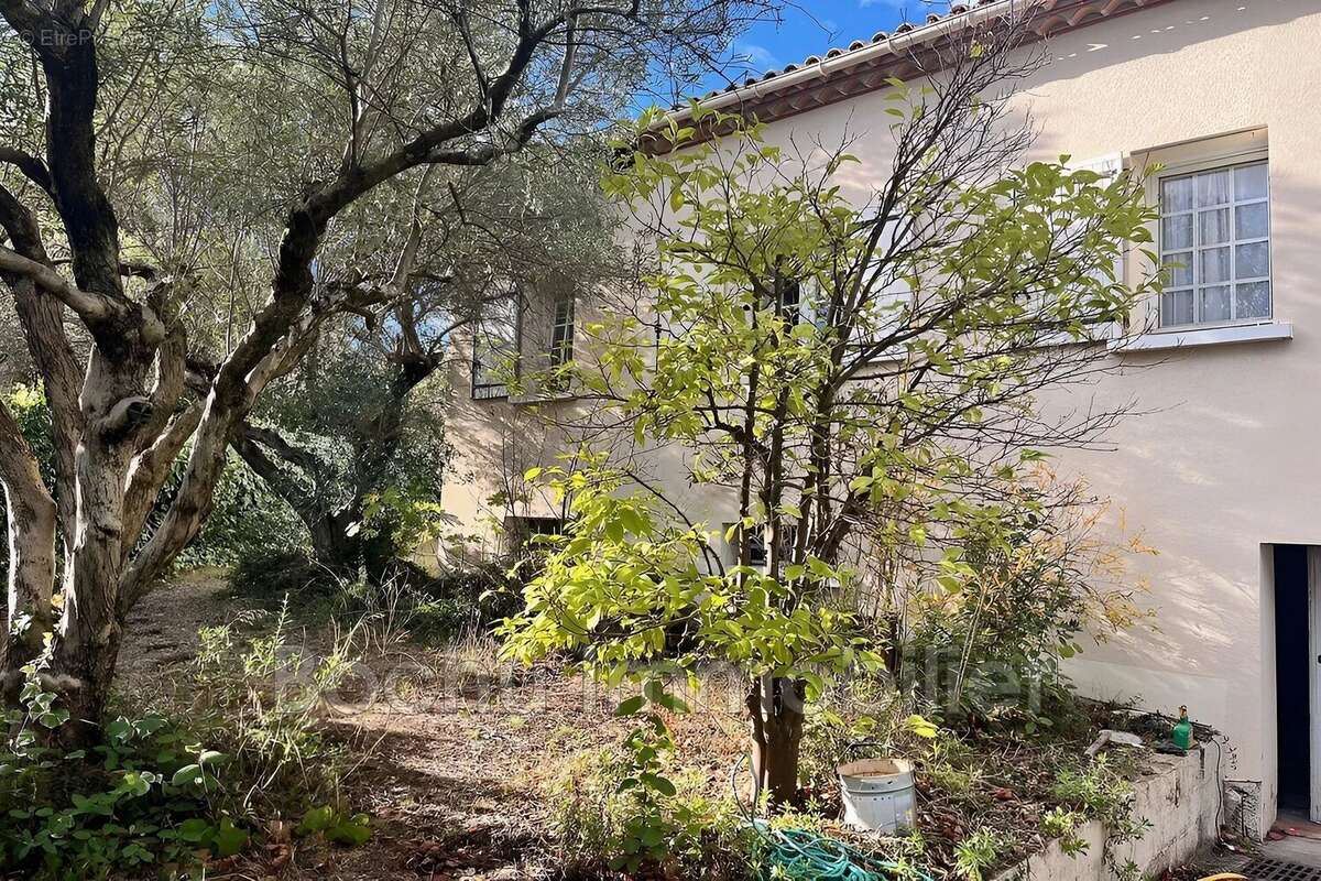 Maison à CASTELNAU-LE-LEZ