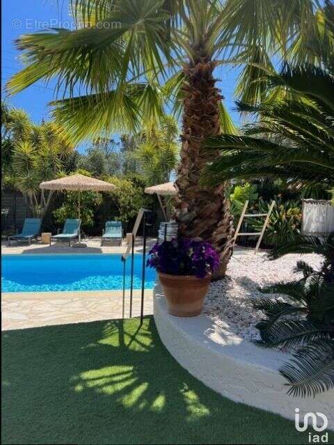 Photo 3 - Commerce à LES ISSAMBRES