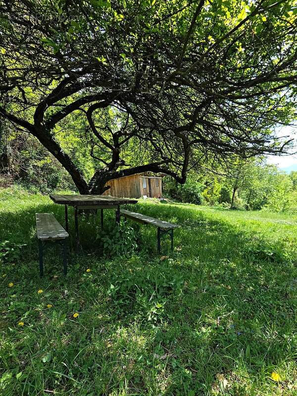 Appartement à BELVEDERE