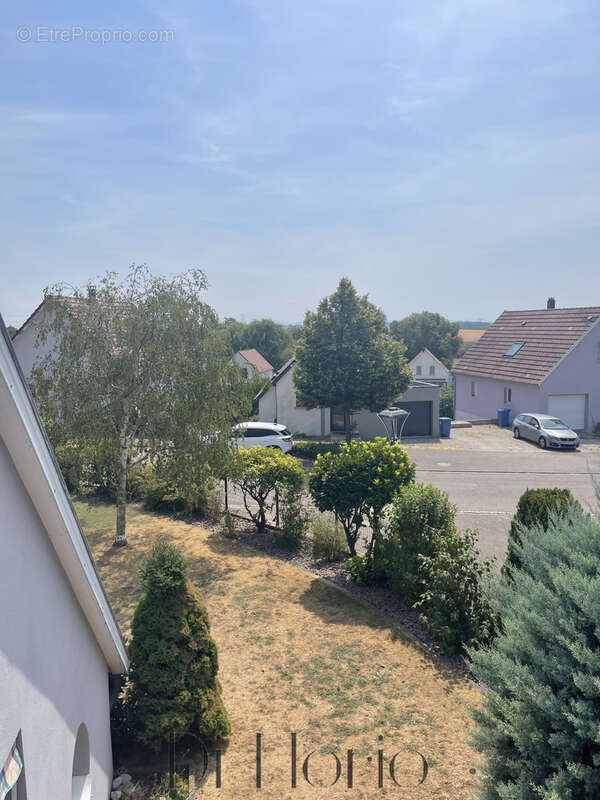 Nordheim - Maison d’architecte aux volumes remarquables 310m2 avec appartement indépendant - photo 27