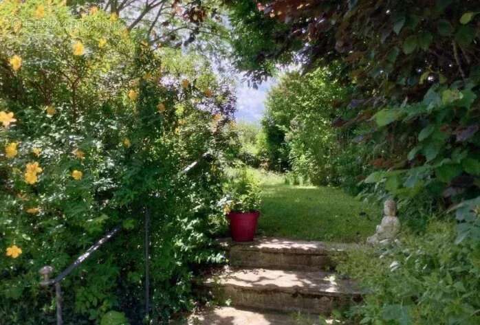 Maison à MAULEON-LICHARRE