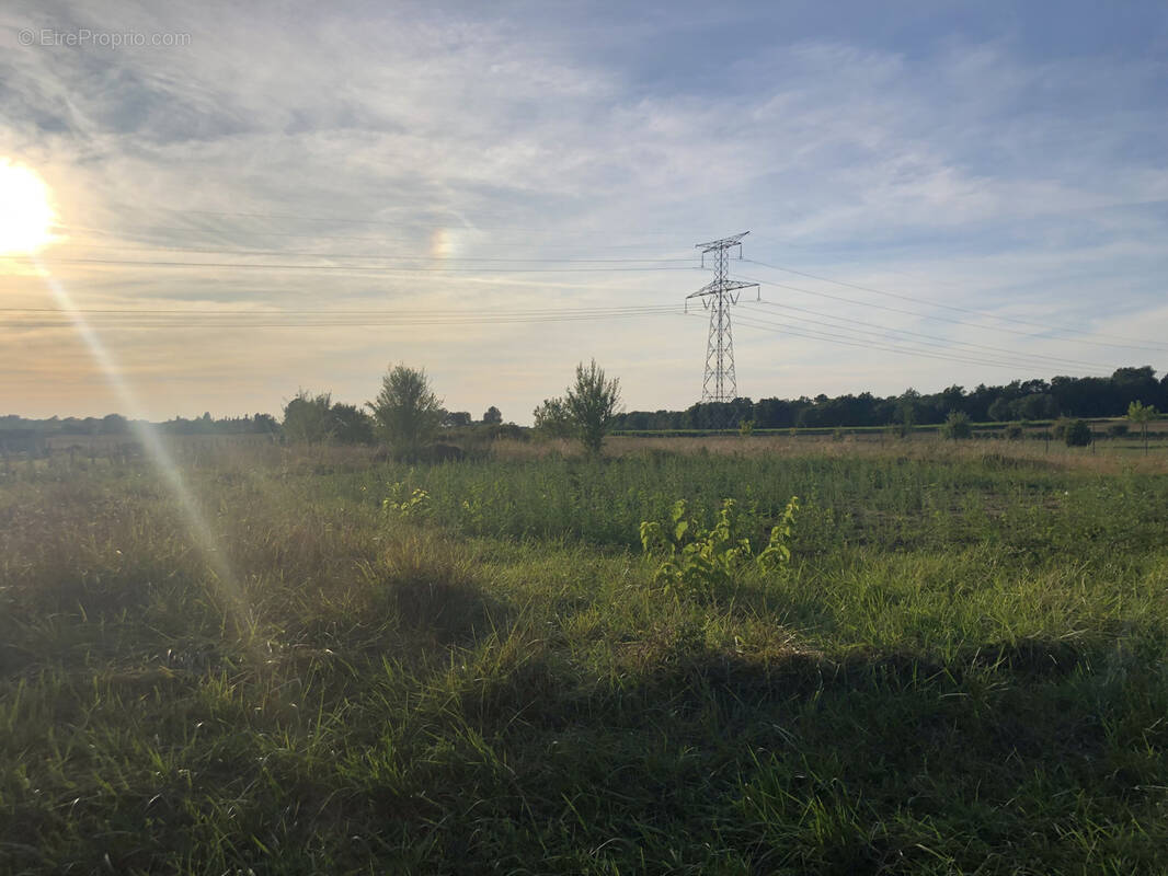 Terrain à BOIS