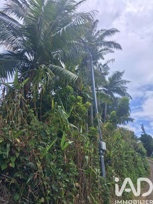 Photo 3 - Terrain à SAINT-PIERRE