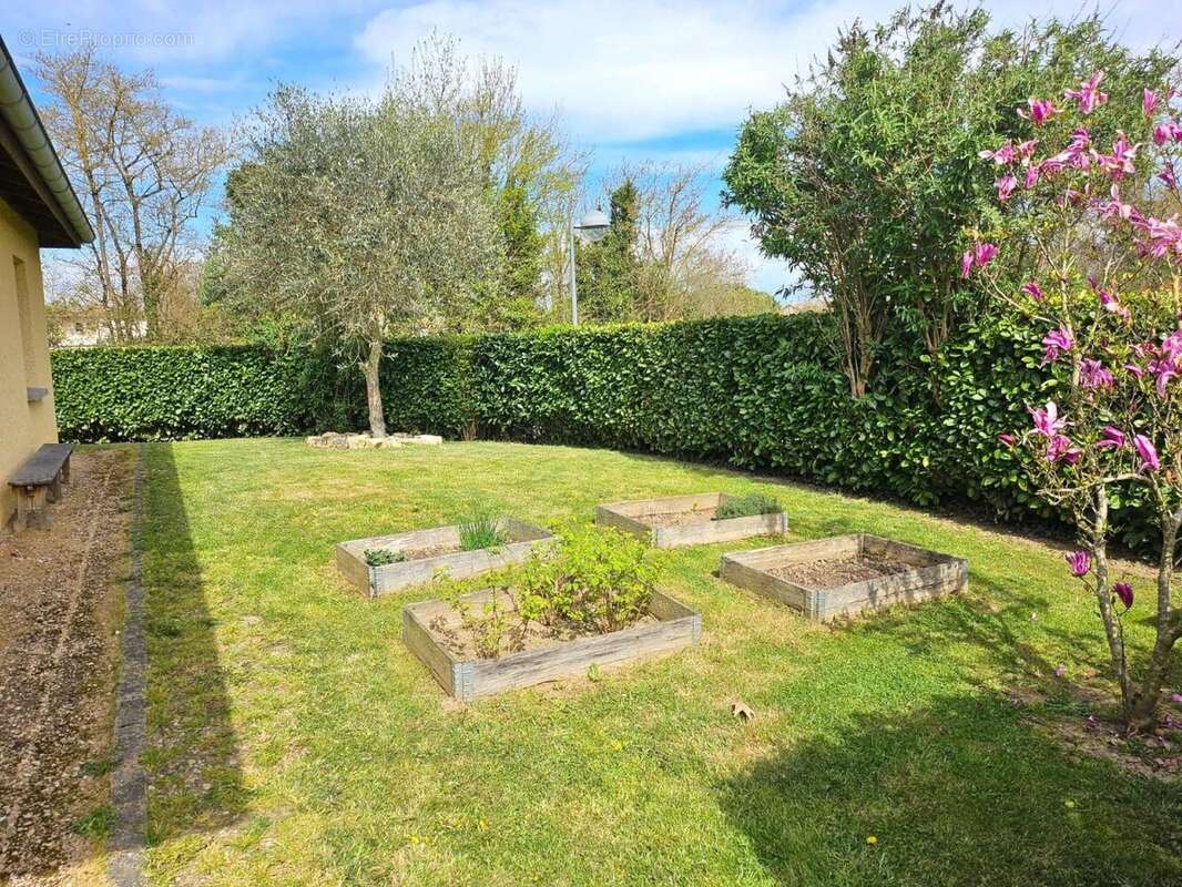 Photo 5 - Maison à PEYZIEUX-SUR-SAONE