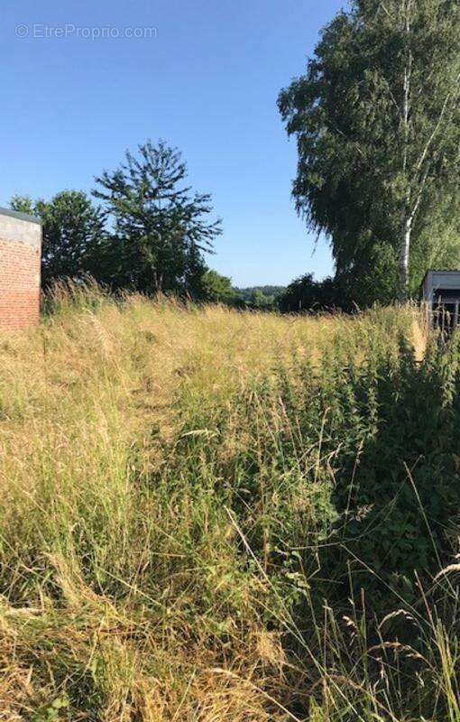 Terrain à POMMEREUIL