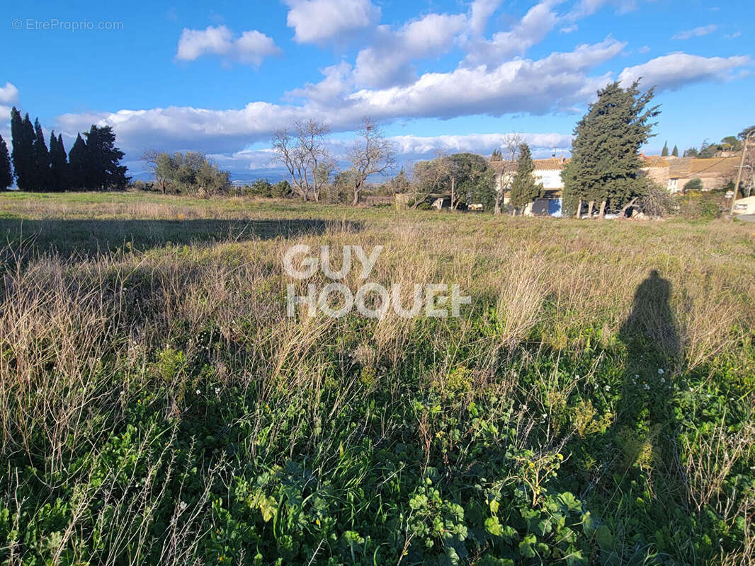 Terrain à CASTELNAU-D&#039;AUDE