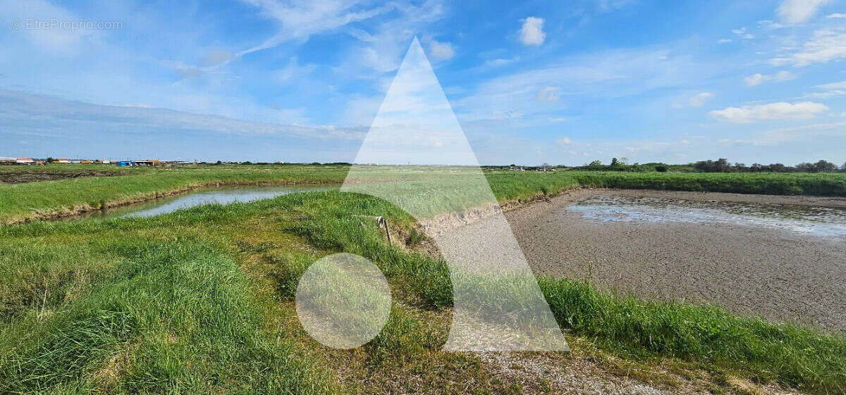 Terrain à LA TREMBLADE