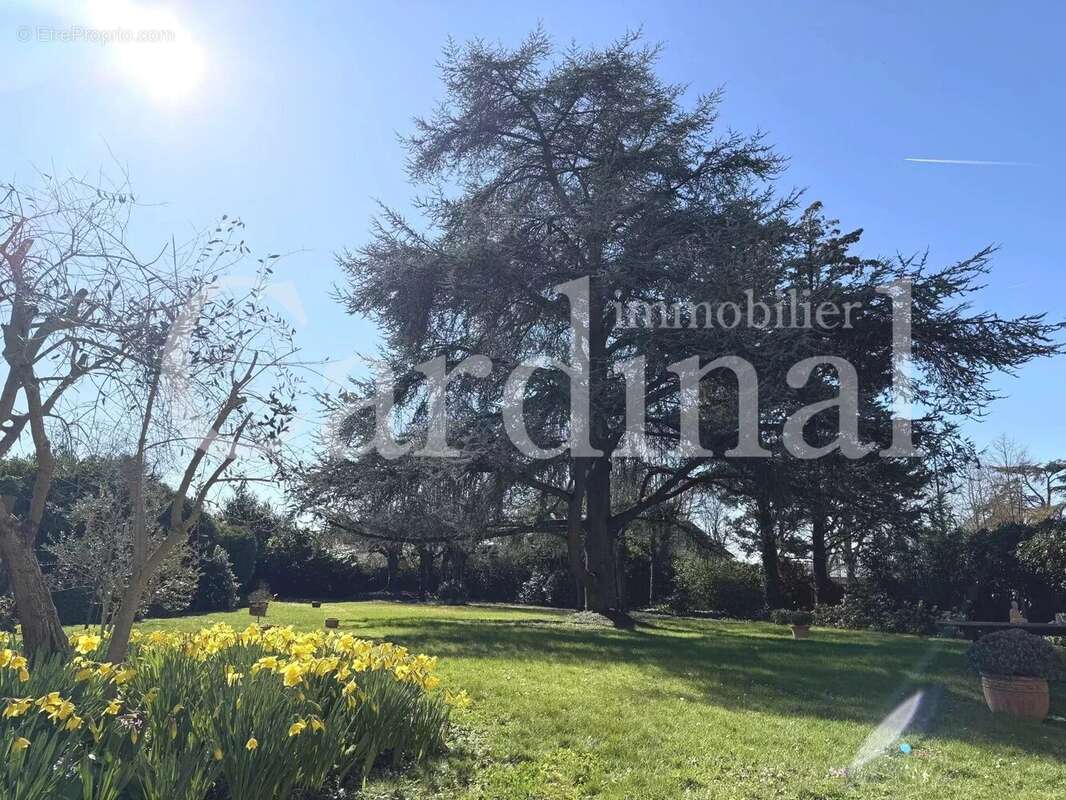 Maison à NOISY-LE-ROI